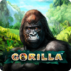 GORILLA