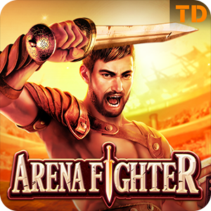 ARENA FIGHTER